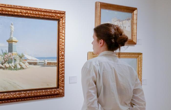 Visitant de la Nit dels Museus